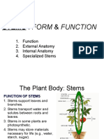 Stems: Form & Function