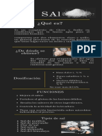 Sal. - Infobiografía - Tarea - PNDA.