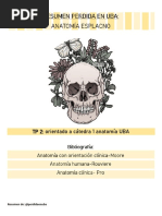 Región Esternal | PDF | Sistema esquelético | Anatomía humana