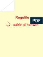 regulile nun sakin