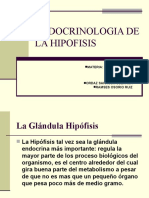 Endocrinologia de La Hipofisis Expo