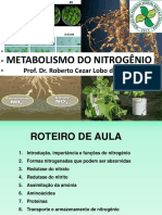 METABOLISMO DO NITROGÊNIO Prof. Dr. Roberto Cezar Lobo da Costa