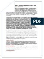 Por Qué Se Considera Al Periodo Embrionario Como El Más Crítico Del Desarrollo Prenatal