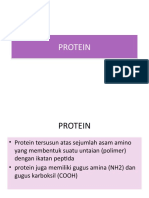 04 Protein