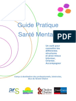 Guide Pratique Sante Mentale