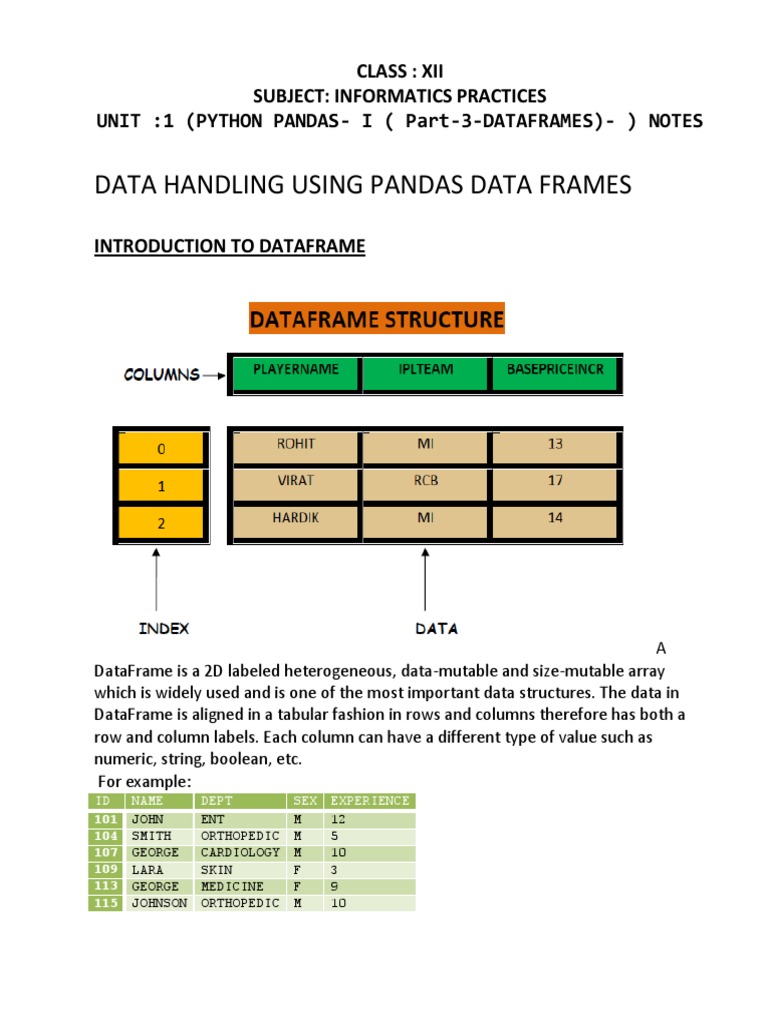 12 IP Unit 1 Python Pandas I (Part 3 Dataframes) Notes | PDF | Array ...