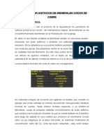 LIXIVIACION POR AGITACION DE MIENERALES OXIDOS DE COBRE Pra5