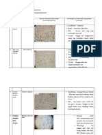 Format Data Sementara Lap Pemeriksaan Mikroskopi