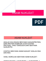 07_ASAM-NUKLEAT