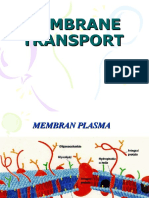 06 Transport Membran