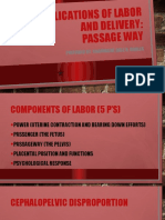 3 Complications of L&D Passageway