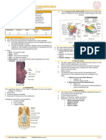 Nose and Parasinuses: I. A. B. C. D. E. F. G. II. A. B. C. D. Iii