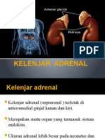 6. Kelenjar Adrenal