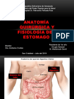 Anatomia de Estomago