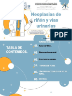 Neoplasias de Riñón y Vías Urinarias