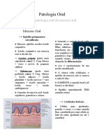 Res. Patologia Oral (P) - Histopatologia Básica Da Mucosa Oral
