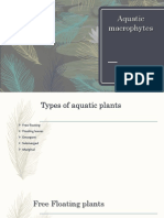 Aquatic Macrophytes: Presented By: Saraswati Dhakal