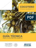 GUÍA TÉCNICA PARA LA DESCRIPCIÓN VARIETAL. COCOTERO (Cocos Nucifera L.)