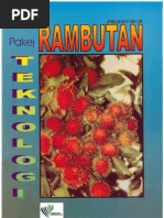 Download rambutan by Amri Mat Saaid SN52028342 doc pdf