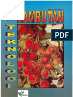 Rambutan