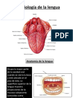 Semiología de La Lengua