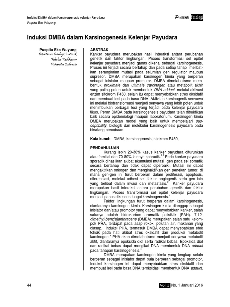 DMBA dan Karsinogenesis Payudara | PDF | Kesehatan Holistik | Sains ...