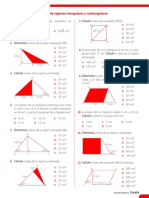 Areas y Perímetros