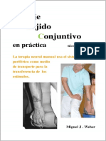 Masaje Tejido Conjuntivo en Práctica - La Terapia Neural Manual Usa El Sistema Nervioso Periférico Como Medio de Transporte para La Transferencia de Los Estímulos. Contiene 230 Fotos (Spanish Edition)