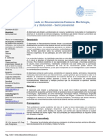 Neuroanatomia Humana Morfologia Funcion y Disfuncion