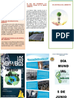 TRIPTICO DEL MEDIO AMBIENTE (1)