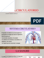 SISTEMA CIRCULATORIO