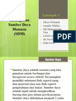 Kelangkaan Sumber Daya Manusia (SDM) - Kelompok 3