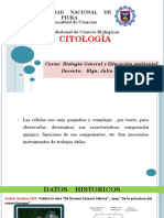 CITOLOGÍA