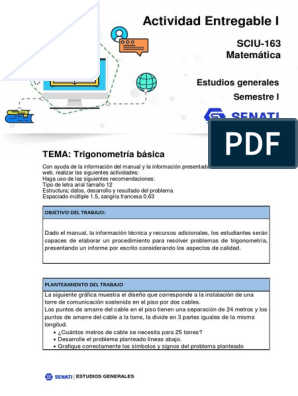 Sciu-163 - Actividad Entregable - 001 | PDF