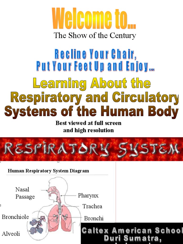 Anatomy and Physiology Respiratory PPt