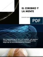 El Cerebro y La Mente