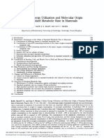 Cellular Energy Utilization and BMR