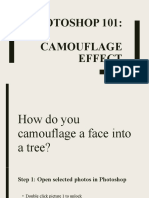 Camouflage Effect