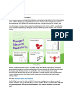 Pengertian Dan Fungsi Sistem Endokrin Zinda