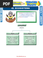 El Ecosistema para Tercer Grado de Primaria