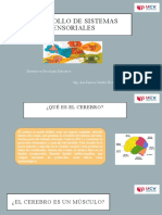 Cerebro y procesos cognitivos: funciones, estructuras y sistemas sensoriales