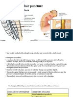 Lumbar Puncture