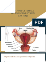 Multiple Uterine Leiomyoma