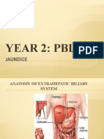 Year 2: PBL 2: Jaundice