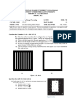 Final Term Paper DIP Spring 2021 FINAL