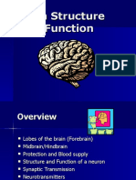 Brain Structure and Function