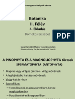 Eloadas KT Botanika II Felev 2019-2020