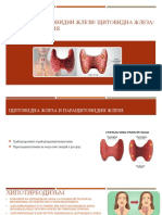 ОКОЛОЩИТОВИДНИ ЖЛЕЗИ