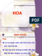 Hoa