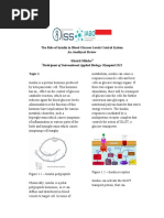 The Role of Insulin in Blood Glucose Levels Control System: An Analitycal Review